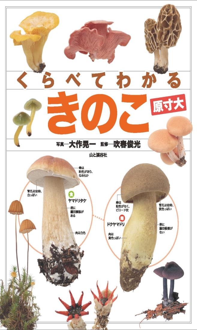 くらべてわかるきのこ 原寸大 (くらべてわかる図鑑)