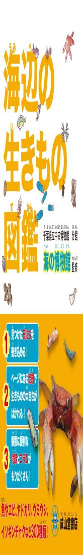 海辺の生きもの図鑑