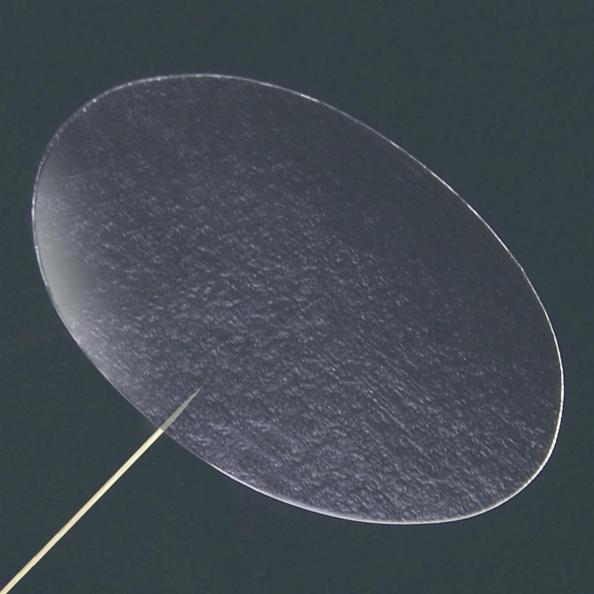 未開封シール 封印シール 1000枚 透明 楕円 クリア (透明, 25*16mm)