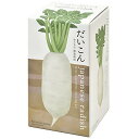 聖新陶芸 通年 家庭菜園 簡単 栽培キット ゆったり育てる だいこん 野菜 栽培セット ( 自由研究 / 食育 ) 鉢の径約10cm おうちで根菜 母の日 プレ...
