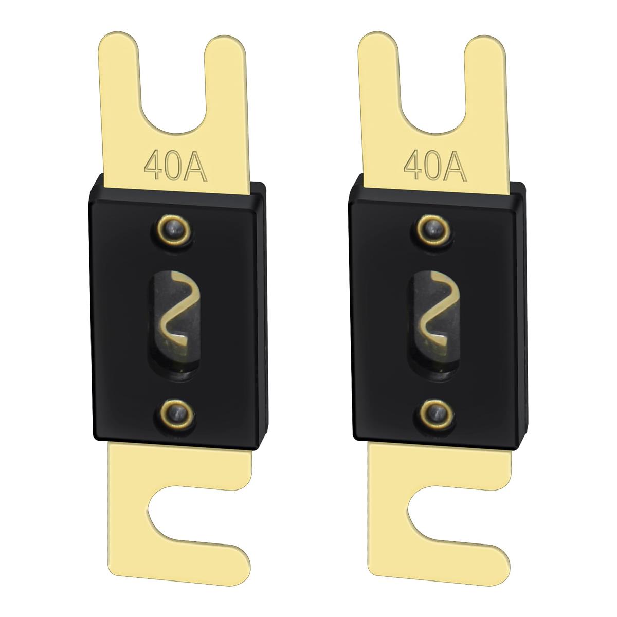 Heschen 車 ANLヒューズ 自動車 バイク オーディオサブウーファー 用品 2個入り (ANL-40A)