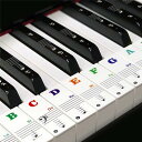 yuecheng 88/61/54/49 カラフルキー ピアノ キーボード ステッカー 音符シール 剥がせる フィンガープラクティス ガイド 透明で取り外し可能...