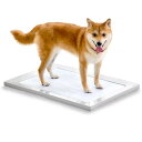 アイリスオーヤマ(IRIS OHYAMA) 犬 トイレ スクエアドッグトレー 挟むだけ マグネット ワイド ホワイト 水洗い可