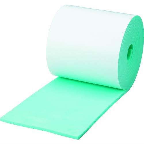 TRUSCO(トラスコ) エッジクッションテープ 100mmX2m グリーン TEC100GN x 10 巻【ケース販売】