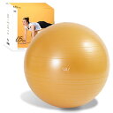 アルインコ(ALINCO) バランスボール 直径65cm コンパクト 椅子 スツール 軽量 空気入れ付き 運動マニュアル付き ストレッチ フィットネス ヨガ エ...