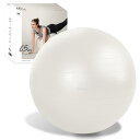 アルインコ(ALINCO) バランスボール 直径65cm 椅子 スツール 軽量 空気入れ付き 運動マニュアル付き ストレッチ フィットネス ヨガ エクササイズ バランス運動 家庭用 WBF065W ホワイト(4)