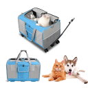 Aikenn 猫 キャリー 2匹用 キャリーバッグ 折りたたみ 通気性 耐久性 リュック 軽量 持ち運び 旅行 通院 ペット用品(ブルー)(4)