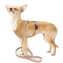 SUNGROO小型犬 胴輪 ペット用 ソフト 中型犬 猫ハーネス リードセット 通気 可愛い 散歩 用 反射光 ソフト 保温 (コーヒー, s)