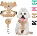 BINGPET ハーネス 犬 小型犬 リード セット 胴輪 犬ハーネス メッシュ 犬用ハーネス 通気性 抜けない 耐久性 老犬介護 散歩用 夜間反射材 負担ない 軽量 簡単着脱 調節可能 人気 ペット用品 おしゃれ 小型犬用ハーネス 小型犬ハーネス 可愛い 超小型犬 中型犬 柴犬(4)