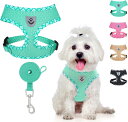 BINGPET ハーネス 犬 小型犬 リード セット 胴輪 犬ハーネス メッシュ 犬用ハーネス 通気性 抜けない 耐久性 老犬介護 散歩用 夜間反射材 負担ない 軽量 簡単着脱 調節可能 人気 ペット用品 おしゃれ 小型犬用ハーネス 小型犬ハーネス 可愛い 超小型犬 中型犬 柴犬(4)