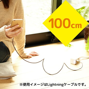ダンボー ライトニング ケーブル チーロ cheero DANBOARD USB Cable with Lightning connector (100cm) [ MFi 認証取得済 ] 目が光る 充電 / データ転送 各種 iPhone / iPad 対応