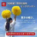 【超軽量 野球応援用ビッグポンポン】 チア チアダンス ポンポン 野球応援 スポーツ応援 応援グッズ チアポンポン 応援グッズ 大会用 イベント ダンス衣装 チ...