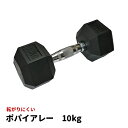 ポパイアレー（ラバーダンベル） 10KG BA-0002 10キロ ダンベル10kg 鉄アレイ トレーニンググッズ 筋トレ グッズ 宅トレ 家トレ 自宅トレ ホームジム 室内 運動 エクササイズ フィットネス ダイエット 女性 ダンベルウエイト 筋肉 肩 胸 腕 背中 お腹 筋トレ器具 自宅用