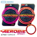 エアロビー Sprint Ring aozora02 [ あおぞら ブーメラン エアロ 安定 飛行 外遊び レジャー アウトドア おもちゃ トイ ホビー 安心 ゴム ラバー 素材 本格的 運動 キャッチ ]