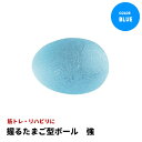 【たまご型でちょうどいいサイズ】握るたまご型ハンドグリップ 強 ブルー [ ハードタイプ 握力 運動 リハビリ トレーニング 筋力向上 健康維持 ハンドグリップ...