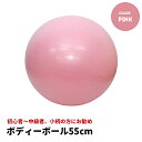 バランス感覚を鍛える バランスボール 55cm(ピンク) NR-2204 ヨガボール ダイエット エクササイズ ダイエット器具 体幹トレーニング フィットネス ピラティス ボール ストレッチボール トレーニングボール バランス 高齢者 運動 トレーニング リハビリ ばらんすぼーる