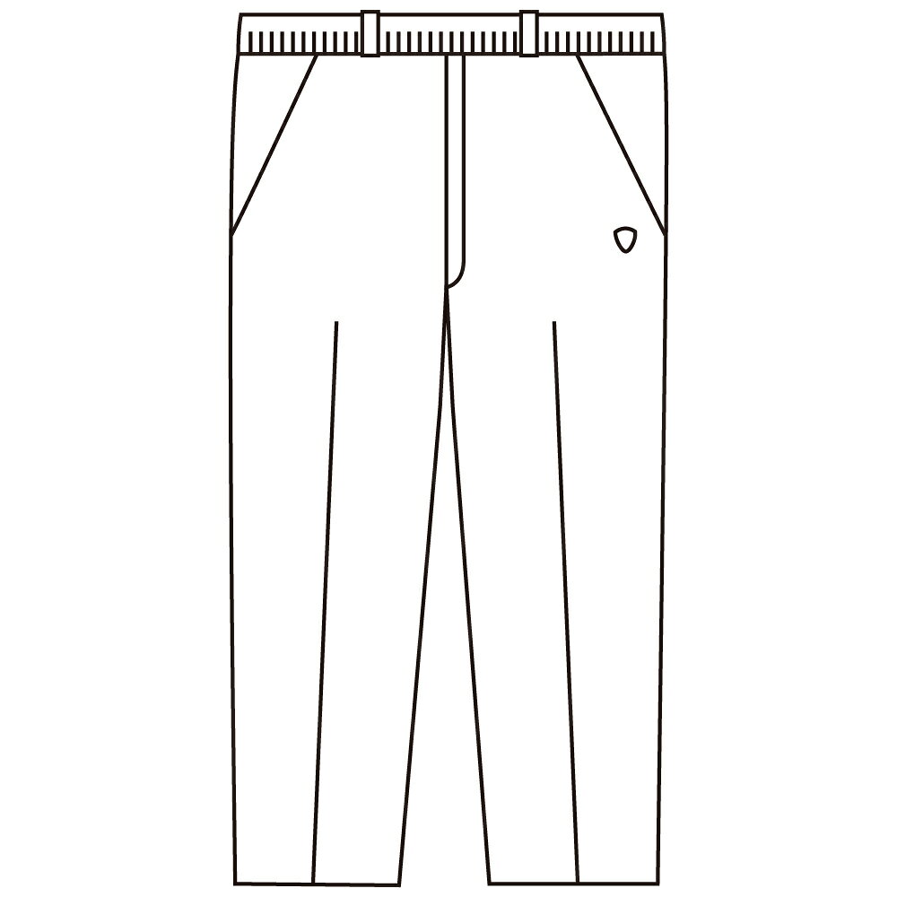 シニアファッション メンズ パンツ 2026 秋冬 全3色 ML/LL 【 カチオンらくらくストレートパンツA25 】 パンツ 敬老の日 プレゼント ギフト 誕生日 シニア メンズ 父 祖父 おじいちゃん 50代 60代 70代 80代 90代 cheerup-senior-10001416 シニアファッション チアラップ サンプル画像3