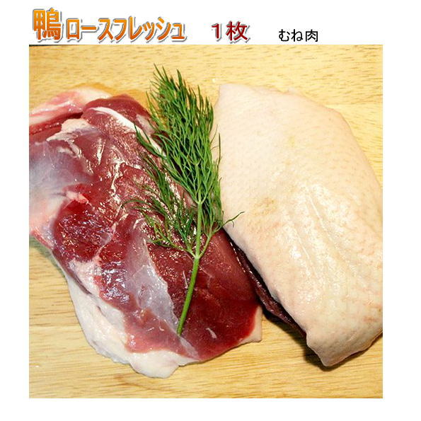 鴨のオスロースフレッシュ一枚（約450g〜500g）大き目ステーキカット（鴨肉 生）冷蔵 ブロック 国産か..