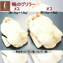【送料無料】鴨のグリラー オス 冷蔵 国産 青森県産 カモ 鴨 一羽 丸ごと 丸鴨 首無し中抜き グリル用 バルバリー種 冷蔵 鴨丸ごと一羽 ※冷凍品と同梱する...
