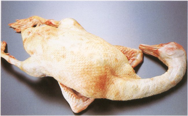 鴨の中抜き（首付き）メス 約2kg 冷蔵 青森県産 首付き、足（もみじ）付き 業務用