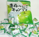 送料込み 青森りんごキャンディ、オリゴ糖入り ラグノオ(約24個入り)×10袋 青森の飴 リンゴあめ アップルキャンディー