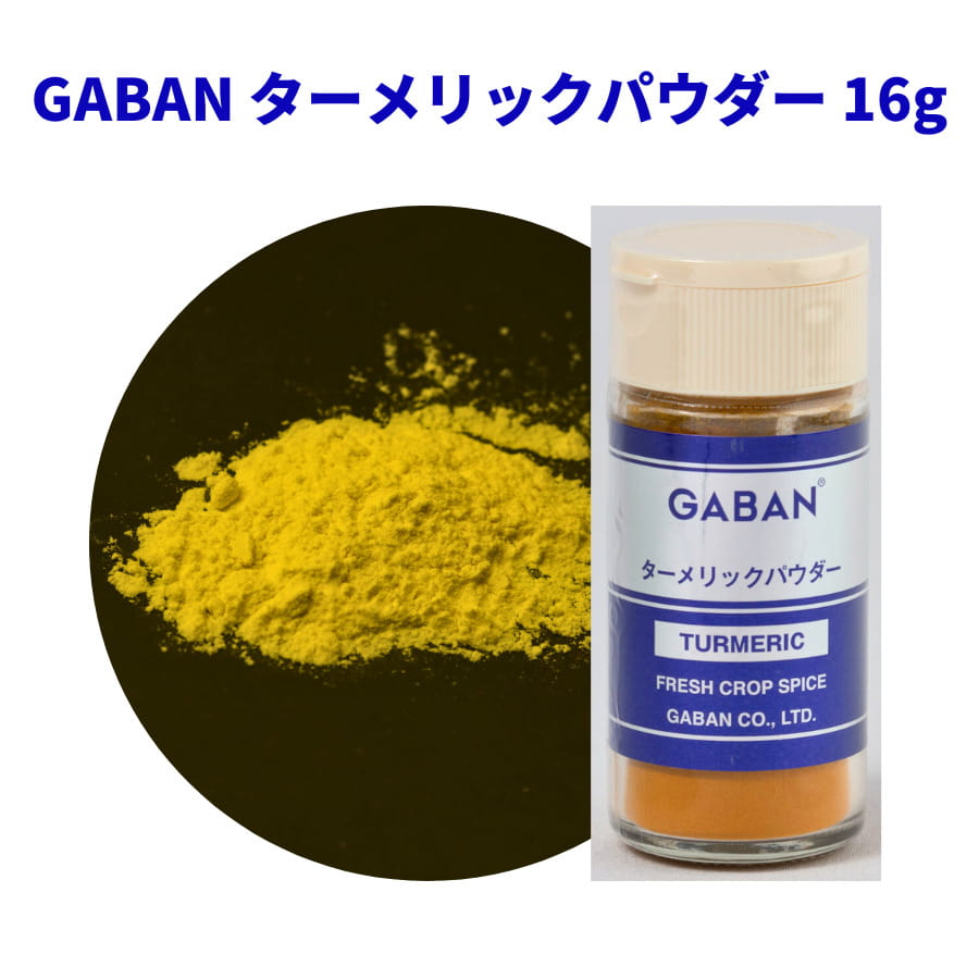 GABAN ターメリック パウダー 16g 小瓶 ギャバン スパイス 香辛料 調味料 インド 料理 カレー