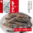 天使の海老 1kg 50~60尾 50/60 刺身 生食 てんしのえび しゃぶしゃぶ エビフライ 天ぷら 高級 お取り寄せ グルメ ギフト プロ愛用 業務用 化粧箱 箱入り えび エビ 蝦 海鮮 有頭 冷凍 お歳暮 お中元 誕生日 プレゼント 出産 内祝い レストラン 贈答用