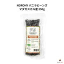 NOROHY バニラビーンズ マダガスカル産 250g