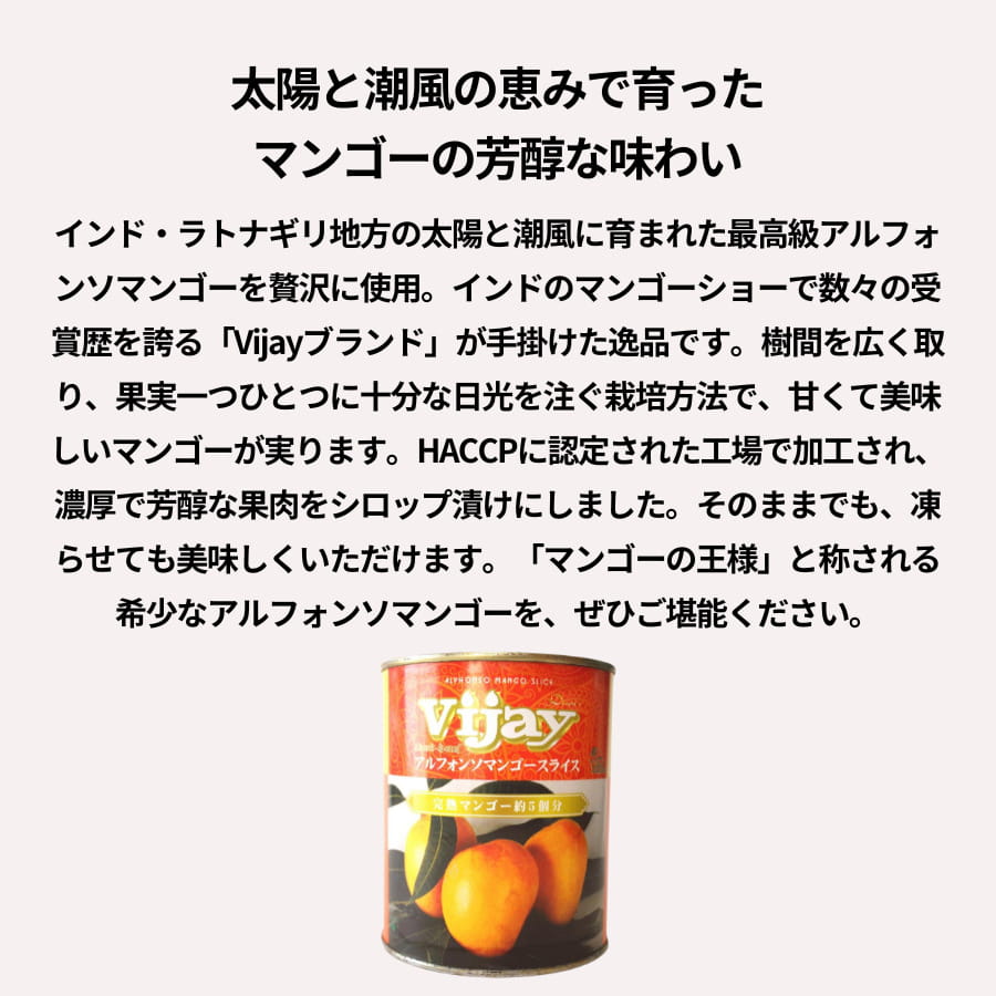 VIJAY アルフォンソ マンゴースライス 2号缶
