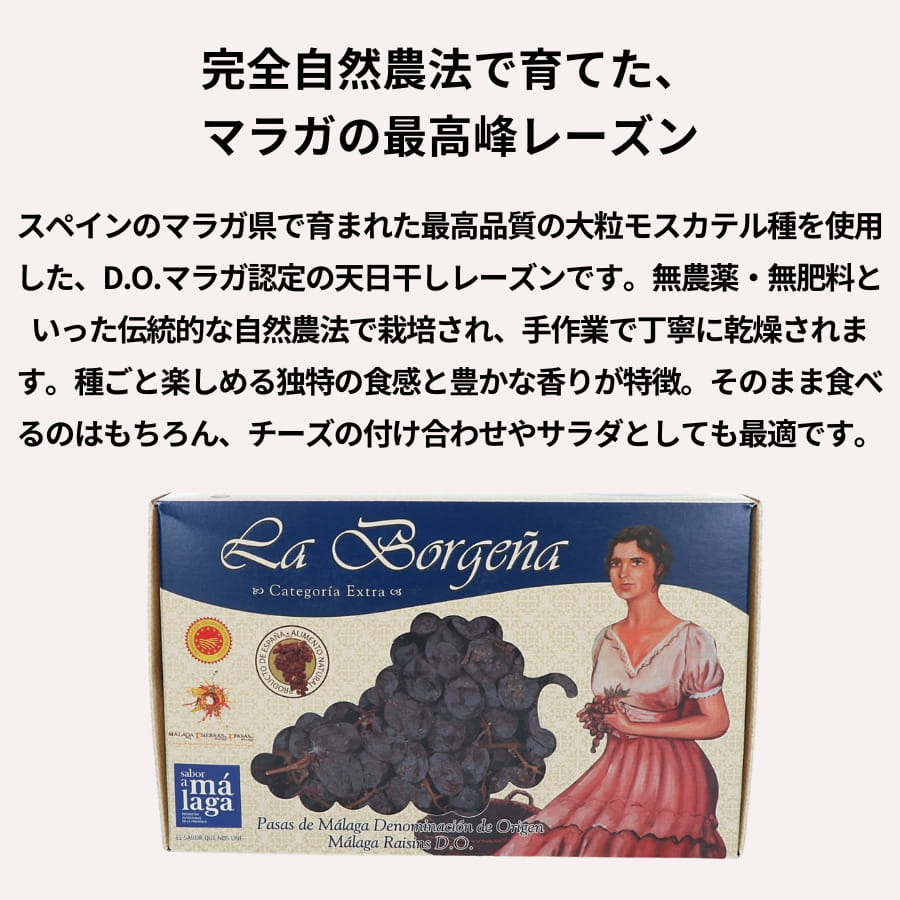 La Borgena 枝付きレーズン D.O. 1kg スペインマラガ産 干しぶどう