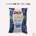 ノースイ 冷凍 ブルーベリー 500g