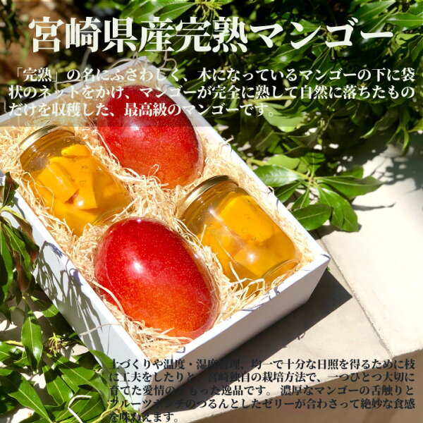 フルーツポンチ みんな探してる人気モノ フルーツポンチ スイーツ お菓子 フルーツポンチ みんな探してる人気モノ フルーツポンチ スイーツ お菓子