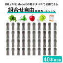 互換REP DR.VAPE Model2用 カートリッジ ドクターベイプ モデル2用 カートリッジ 40本セット ドクターベイプ モデル2用 フレーバー VAPE 個包装 電子タバコ 電子たばこ 簡単 コスパ 使い捨て 爆煙 組合せ自由 メンソール コールドミント アップル マスカットメンソール