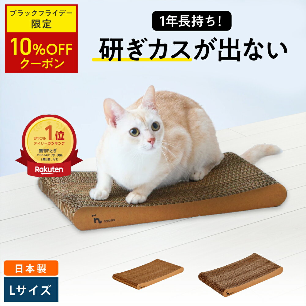 ★ブラックフライデー限定10%OFF★楽