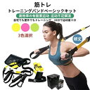 トレーニングバンド サスペンション 懸架 ベーシックキット 筋トレ 屋内屋外両用 男女兼用 学生、オフィスワーカー、フィットネス愛好家向け 頑丈 最新