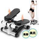 健康ステッパー ステッパー 足踏み マシン 運動 器具 静音 美脚 美尻 有酸素運動 ツイストステッパー ステップ台 フィットネス LEDディスプレイ お家 痩...
