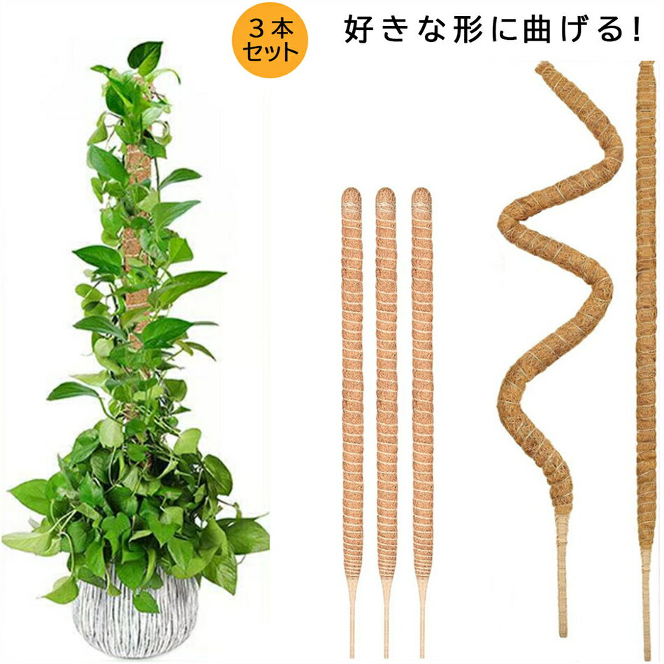 ヘゴ支柱 3本セット 園芸支柱 好きな形に曲げる 誘引 支柱 フラワースタンド 花支え 観葉植物モンステラ 支柱 ヘゴ支柱つる性植物 ココスティック支柱 植物サポート 維持水分 養分維持 ココナッツ支柱 ガーデニング支柱 農業用