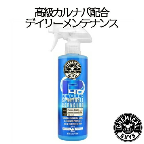 メンテナンススプレー：P40 Detailer Spray　with Carnauba 16oz　CHEMICAL GUYS ケミカルガイズ　洗車用品　カーメンテナンス　　カー用品　カーケア 液体カーワックス