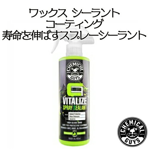 Carbon Flex Vitalize Spray Sealant 16oz