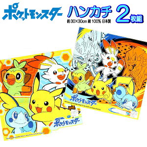 【楽天スーパーSALE50%OFF】ハンカチ 2枚組 ポケモン ソード＆シールド ポケットモンスター キャラクター 男の子 女の子 子供 キッズ グッズ ポケモンハンカチ 幻ポケモン ザシアン ザマゼンタ ピカチュウ 【b1160】