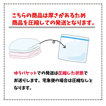 水筒ケース アリス ディズニー プリンセス ペットボトルカバー ケース　エナメル ペットボトル ケース 500ml用 PVPC6 水筒カバー 斜め掛け 水分補給 おでかけ 【LZ1189】