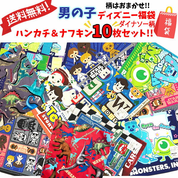 ディズニー ダイナソー福袋 2026 男の子 ナフキン ハンカチ 10枚 ランチクロス かわいい 子供用 男児 キャラクター グッズ 人気 ギフト ハッピー セ...