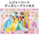 レジャーシート ディズニープリンセス ラプンツェル シンデレラ 659928 子供用サイズ 90×60cm ランチ シート 公園 遠足 おでかけ 【la6599...