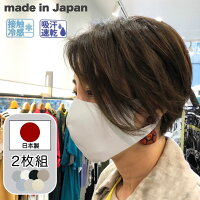 マスク 日本製 2枚 接触冷感 吸汗速乾 立体 男女兼用 メンズ レディース 女性 男性 マスク 大人 シンプル 花粉 在庫あり 夏素材 夏