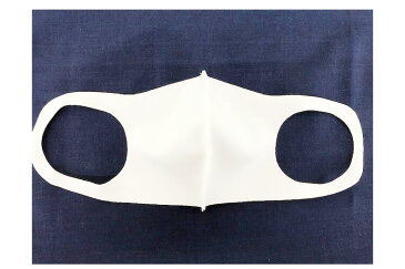 マスク 立体 10枚 日本製 洗える フィット 男女兼用 メンズ レディース マスク 女性 男性 マスク 大人 シンプル 花粉