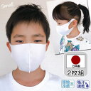 マスク 子供 日本製 2枚 接触冷感 夏 ひんやり 冷たい 吸汗速乾 立体 キッズ 幼稚園 小学生 在庫あり 夏素材 クール キッズマスク クールマスク