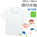 体操着 体操服 ポリエステル100 110〜160cm 半袖 ホワイト お受験 スクール 入園 入学 110 120 130 140 150 160 白無地 T...