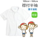 体操着 体操服 綿混 110〜160cm 半袖 ホワイト お受験 スクール 入園 入学 110 120 130 140 150 160 白無地 Tシャツ 白 無...