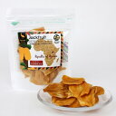 ジャックフルーツ 50g ドライフルーツ 砂糖不使用 無添加 乾燥 ノンシュガー ウガンダ パラミツ
