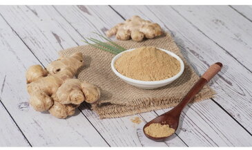 国産 生姜 パウダー 20g 菱和園 生姜 パウダー 粉末 ひしわ ジンジャーパウダー 生姜粉末 パウダー状 ジンジャー 高知県産 料理 製菓 製パン 生姜パウダー 生姜の粉末 調味料 味付け 味 風味